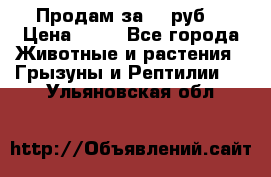 Продам за 50 руб. › Цена ­ 50 - Все города Животные и растения » Грызуны и Рептилии   . Ульяновская обл.